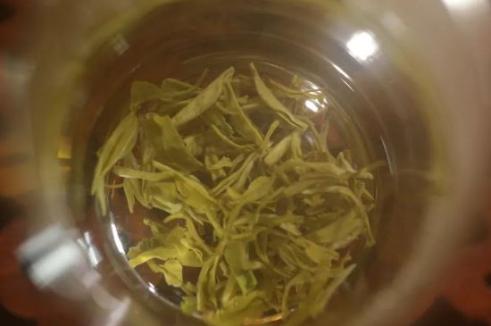 碧螺春正確泡法和飲用，碧螺春茶泡茶方法與溫度