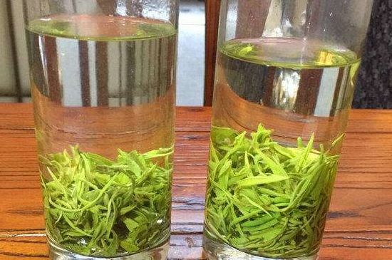 黃金茶的功效及禁忌癥，黃金茶有什么副作用嗎？
