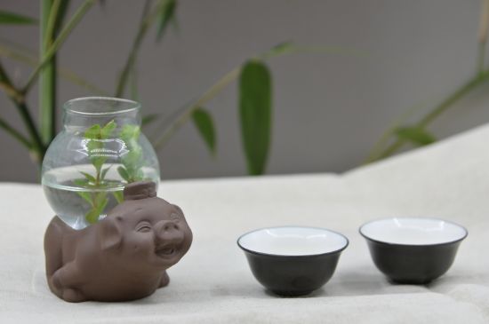 正確泡茶13個流程，新手從零開始學泡茶的步驟