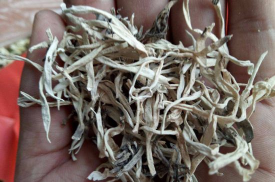麗江雪茶的禁忌，白雪茶的副作用