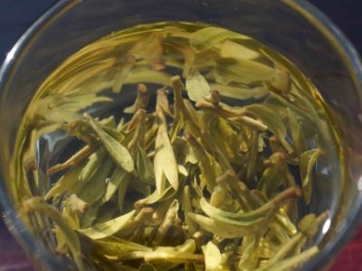 安吉白茶的功效與作用，簡單概括安吉白茶功效