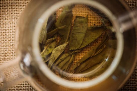 苦丁茶副作用，苦丁可以經(jīng)常喝嗎？