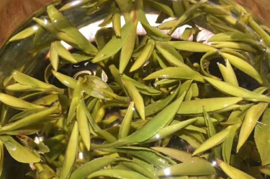 八大茶系都有哪幾種，八大茶系都是什么名字