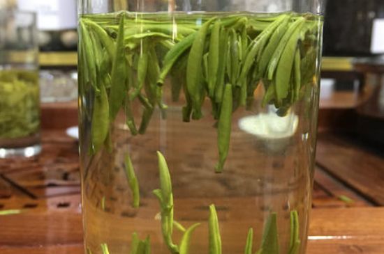 雀舌茶的副作用，雀舌茶什么人不能喝？