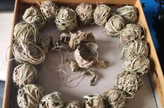 鷓鴣茶用拆開泡嗎，鷓鴣茶要解開繩子泡嗎