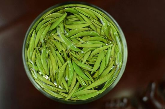 雀舌茶什么人不能喝，雀舌茶的功效與禁忌