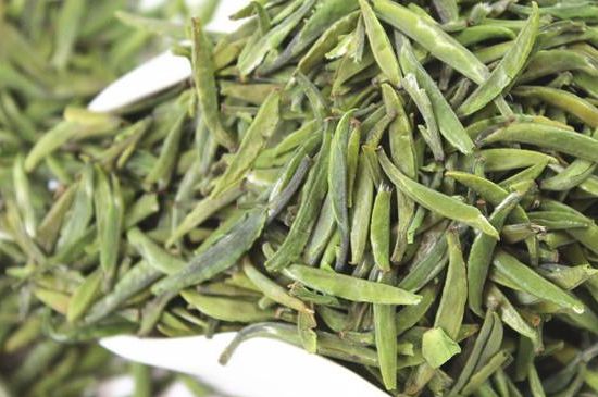 雀舌茶什么人不能喝，雀舌茶的功效與禁忌