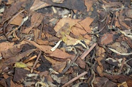 福鼎白茶能長時間悶泡嗎，老白茶可以悶著喝嗎？