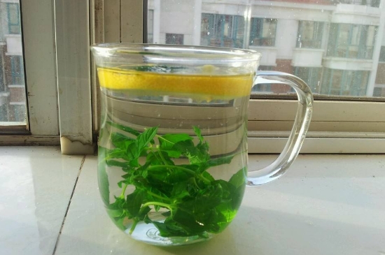 薄荷茶的功效與作用，喝薄荷茶有什么好處？