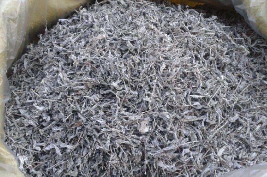 怎樣辨別莓茶發(fā)霉了，莓茶發(fā)霉和白霜的區(qū)別