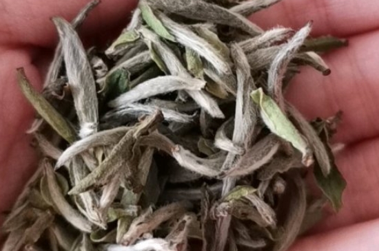 如何買茶葉不上當，怎么買茶葉不被坑？