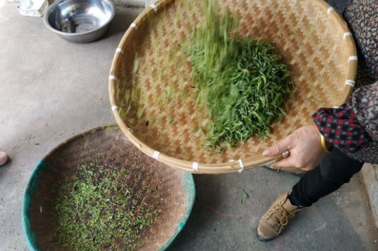 炒青茶為什么便宜，炒青綠茶好喝嗎？