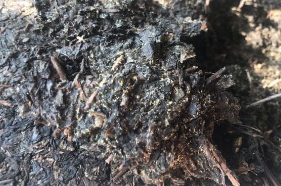 茯茶可以放在冰箱里存放嗎，茯磚茶如何儲(chǔ)存？
