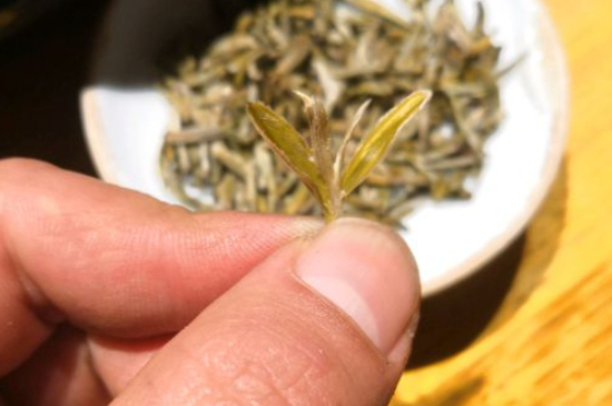 六大茶類哪種適合長期存放，日常如何保存方法一覽？