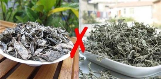 張家界茅巖莓茶與藤茶是同一種茶嗎，藤茶跟莓茶一不一樣？