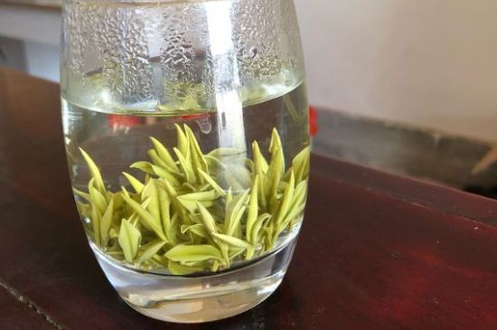安吉白茶耐寒嗎，白茶適合放冰箱嗎