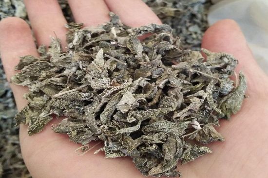 張家界莓茶真假對(duì)比，野生莓茶的鑒別方法