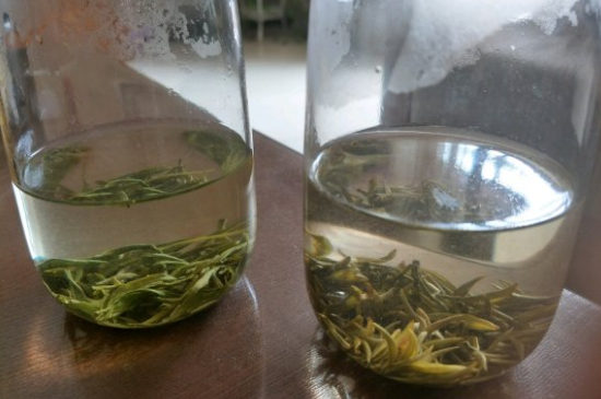 真假碧螺春泡水后區(qū)別，蘇州洞庭碧螺春怎樣鑒別好壞？