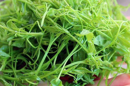 茅巖莓茶保質(zhì)期有多久，張家界莓茶存放時間長了還能喝嗎？