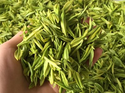 白茶品質(zhì)如何區(qū)分，白茶的優(yōu)劣質(zhì)量辨別方法