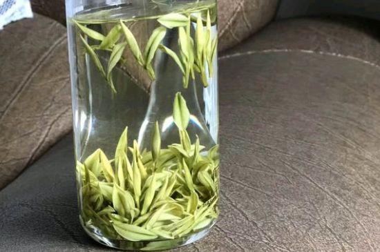 安吉白茶夏天怎么保存，安吉白茶能冷凍儲(chǔ)存嗎？