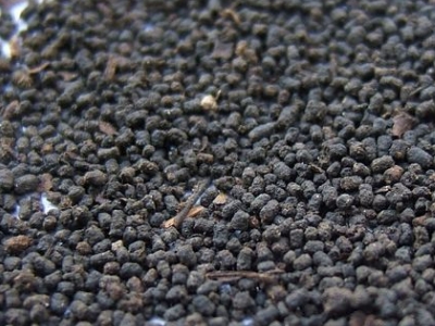 圓形顆粒狀茶是什么茶，像飼料一樣一粒粒的是什么茶？