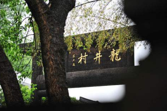 杭州買龍井茶攻略，怎么買到正宗的西湖龍井？