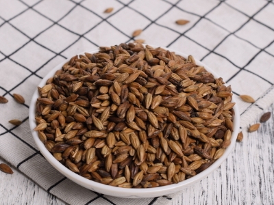 圓形顆粒狀茶是什么茶，像飼料一樣一粒粒的是什么茶？