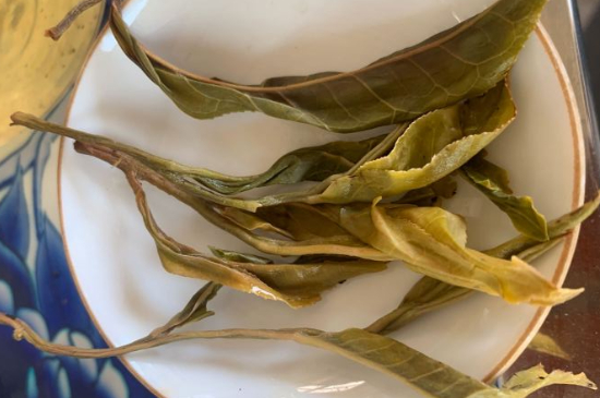 普洱茶十大學(xué)費茶排名，吉普H是學(xué)費茶？