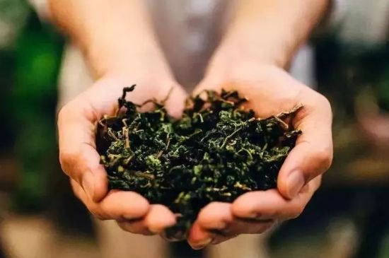 茶葉怎么炒制才香，怎樣炒茶葉更香？
