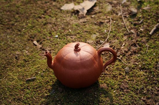 紫砂壺泡什么茶最佳，紫砂壺一般泡什么茶？