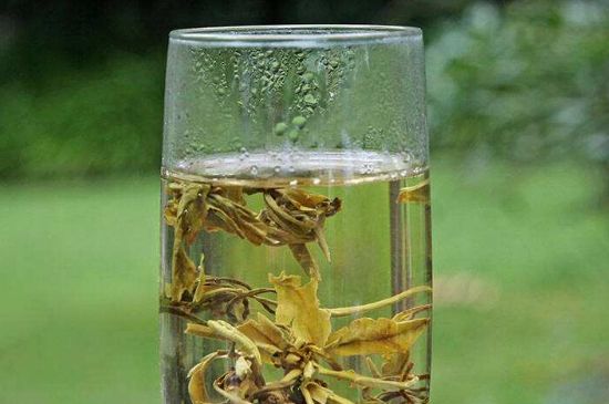茉莉龍珠什么人不能喝，茉莉龍珠茶什么體質(zhì)不能喝？