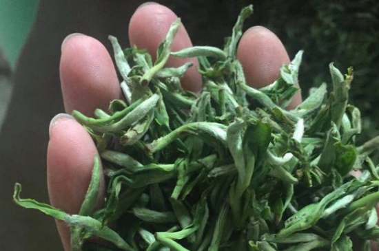 茉莉茶如何制作曬干，自制茉莉茶的做法