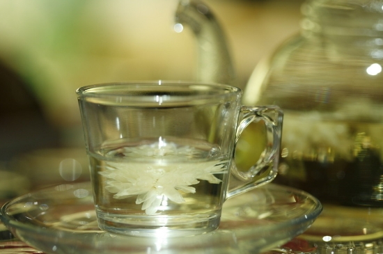 菊花茶天天喝行嗎，每天喝菊花泡茶喝好嗎？