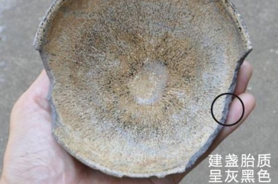 假建盞的特點(diǎn)，真假建盞區(qū)分帶圖