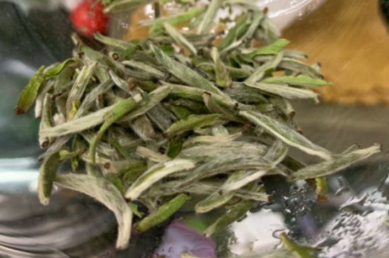 蒸汽煮茶器適合什么茶，蒸汽煮茶器適合用綠茶嗎？