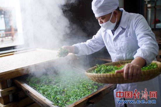 炒青綠茶與綠茶的區(qū)別，烘青和炒青哪個好喝？