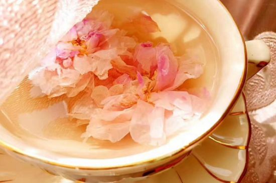 玫瑰花茶一周喝幾次，玫瑰花茶可以天天喝嗎？