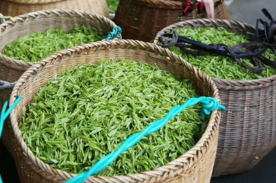 茶葉怎么炒制才香，怎樣炒茶葉更香？