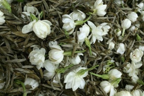 茉莉銀針口感，茉莉銀針是什么味道？