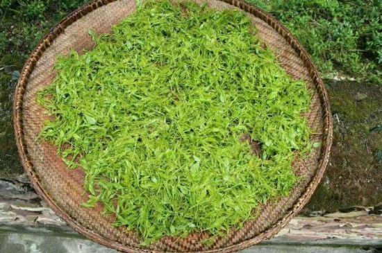 茅巖莓茶加工工藝，莓茶的工藝制作過(guò)程
