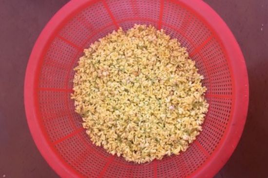 干桂花茶的制作方法，怎樣自制桂花茶？