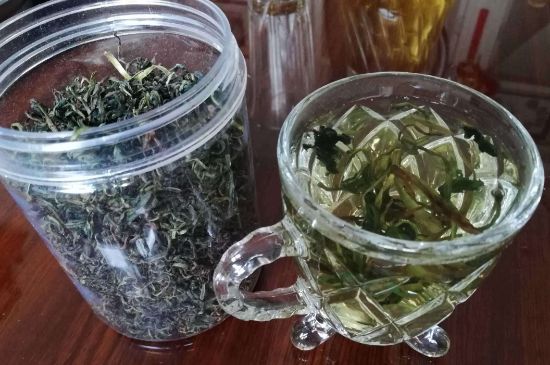 蒲公英最佳搭配，蒲公英茶和什么搭配泡水最佳