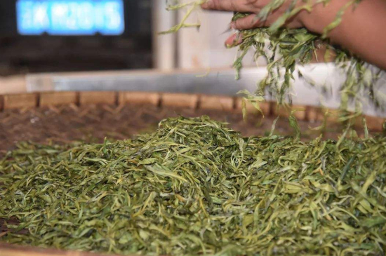 炒青綠茶與綠茶的區(qū)別，烘青和炒青哪個好喝？