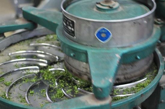 武夷巖茶的初制、精制加工工藝詳細(xì)講解