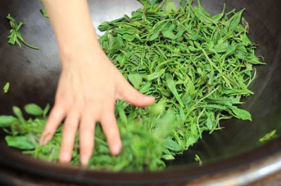 炒青綠茶與綠茶的區(qū)別，烘青和炒青哪個好喝？