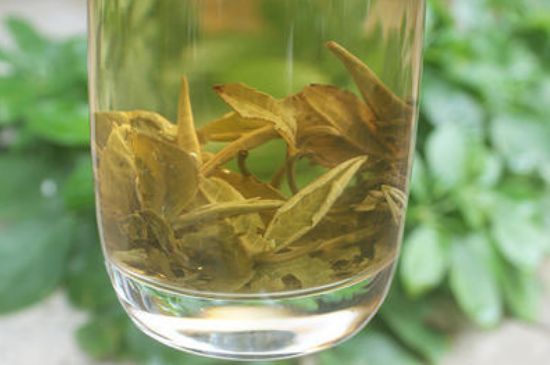茉莉龍珠泡開后為什么都是梗，茉莉龍珠泡開后什么樣？