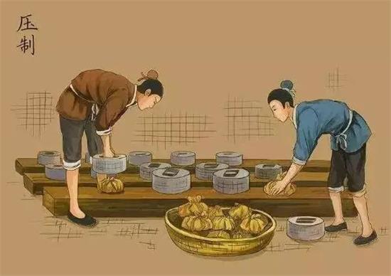制茶八步驟，制茶工藝流程圖