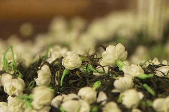 蒸茶器可以蒸花茶嗎，蒸茶器能用來蒸茉莉花茶嗎？