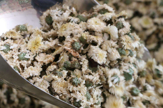 菊花茶買小朵還是大朵，泡茶用的小菊花和大菊花哪個好